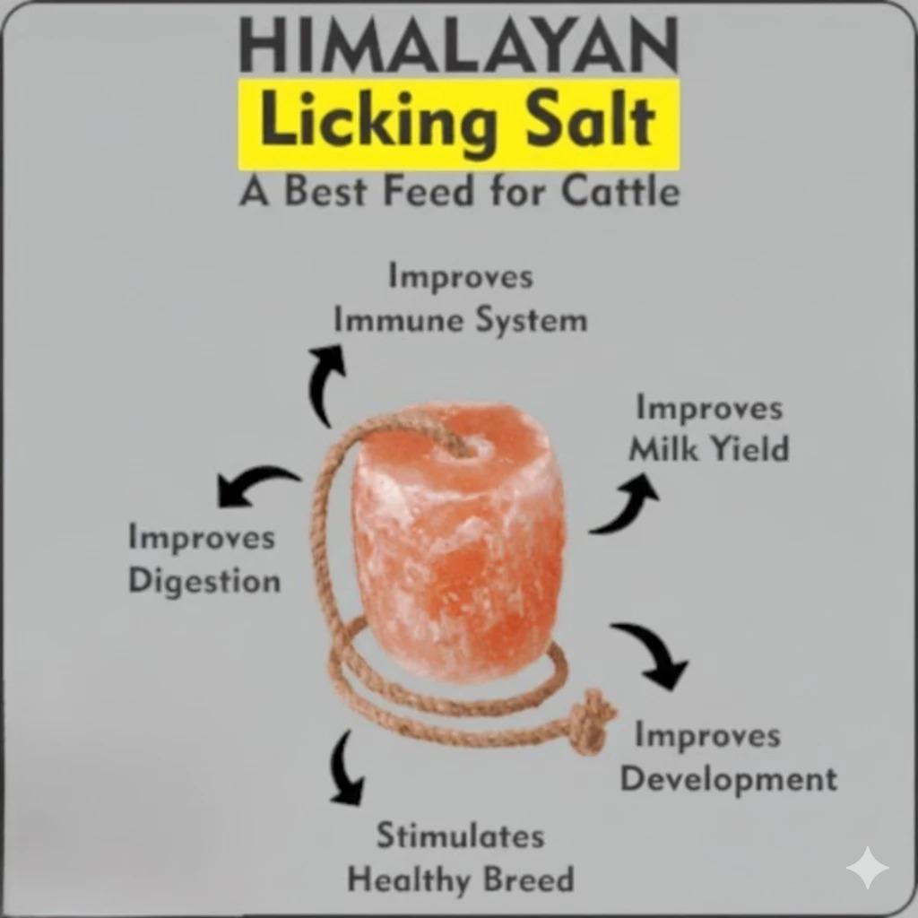 10 PCS Animal Licking Salt 2-4kg – Garam Mineral Semula Jadi Untuk Lembu, Kuda & Kambing